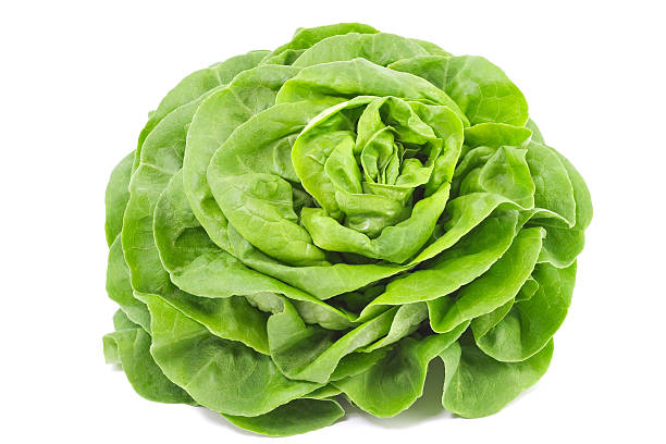 Salade bio (pièce)