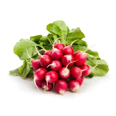 Radis BIO kg (variété pink meat)